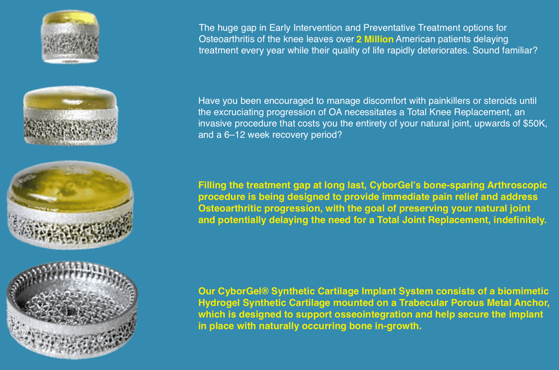 Description of CyborGel Implant