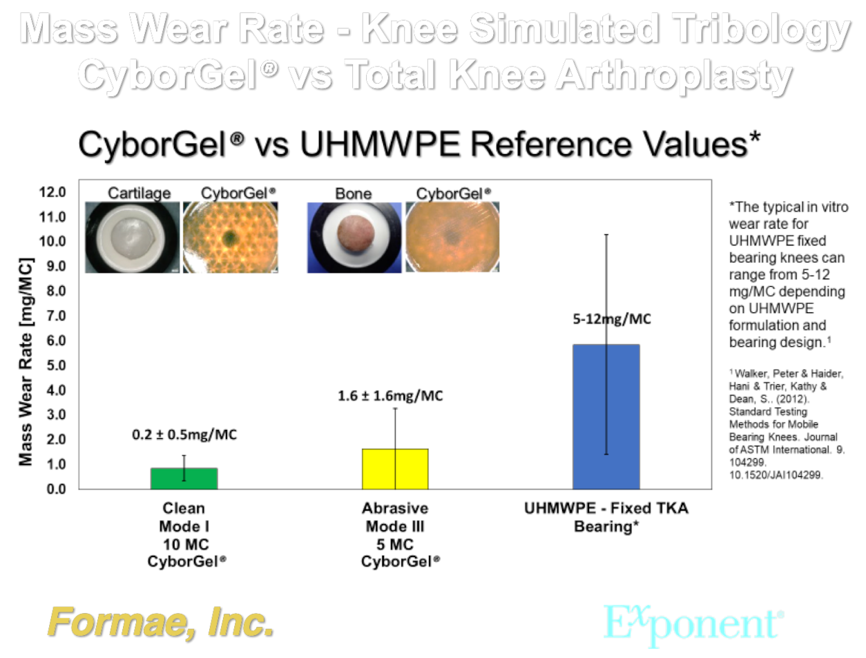 CyborGel Synthetic Biomimetic Cartilage mass wear rate