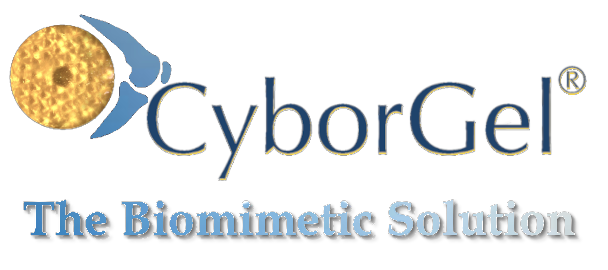CyborGel, the Biomimetic Cartilage Solution for Arthroscopic Knee Resurfacing CyborGel, the Biomimetic Cartilage Solution for Arthroscopic Knee Resurfacing